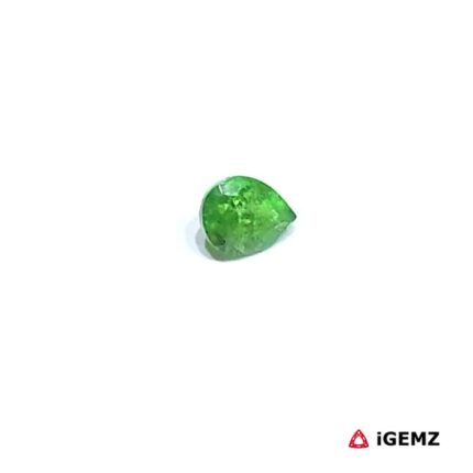 0.4 ct Green Garnet Tsavorite - iGemz30590
