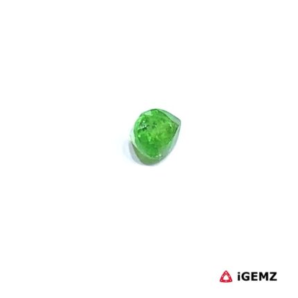 0.4 ct Green Garnet Tsavorite - iGemz30590