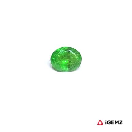 0.44 ct Green Garnet Tsavorite - iGemz30594