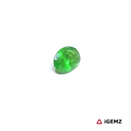 0.44 ct Green Garnet Tsavorite - iGemz30594