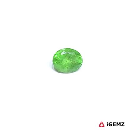 0.41 ct Green Garnet Tsavorite - iGemz30595