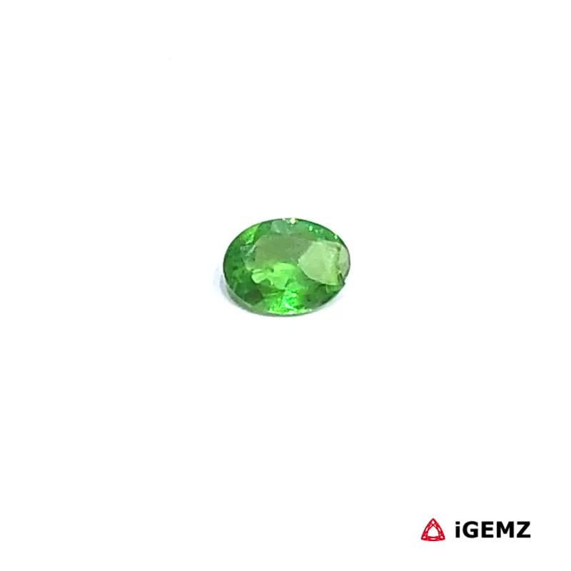 iGemz30596.1 0.29 ct Green Garnet Tsavorite - iGemz30596