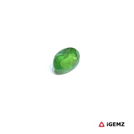 0.51 ct Green Garnet Tsavorite - iGemz30597