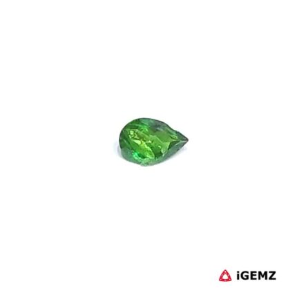 0.24 ct Green Garnet Tsavorite - iGemz30613