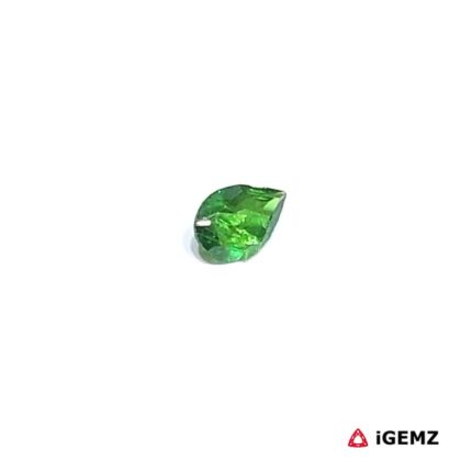 0.24 ct Green Garnet Tsavorite - iGemz30613