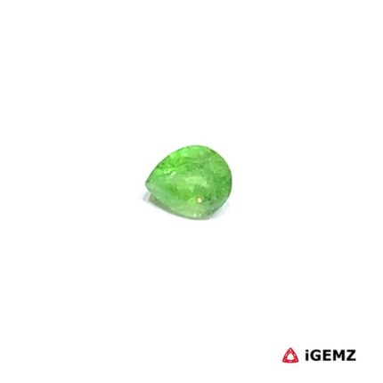 0.5 ct Green Garnet Tsavorite - iGemz30618