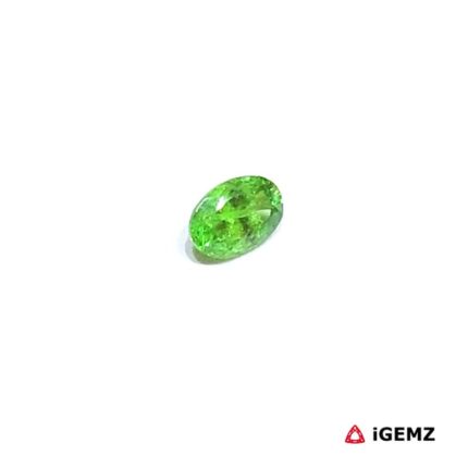 0.35 ct Green Garnet Tsavorite - iGemz30619