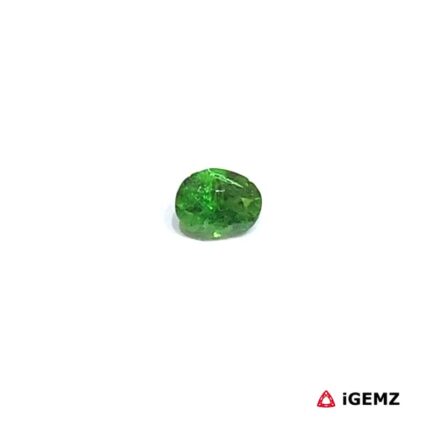0.3 ct Green Garnet Tsavorite - iGemz30620