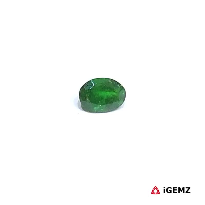 iGemz30624.1 0.42 ct Green Garnet Tsavorite - iGemz30624
