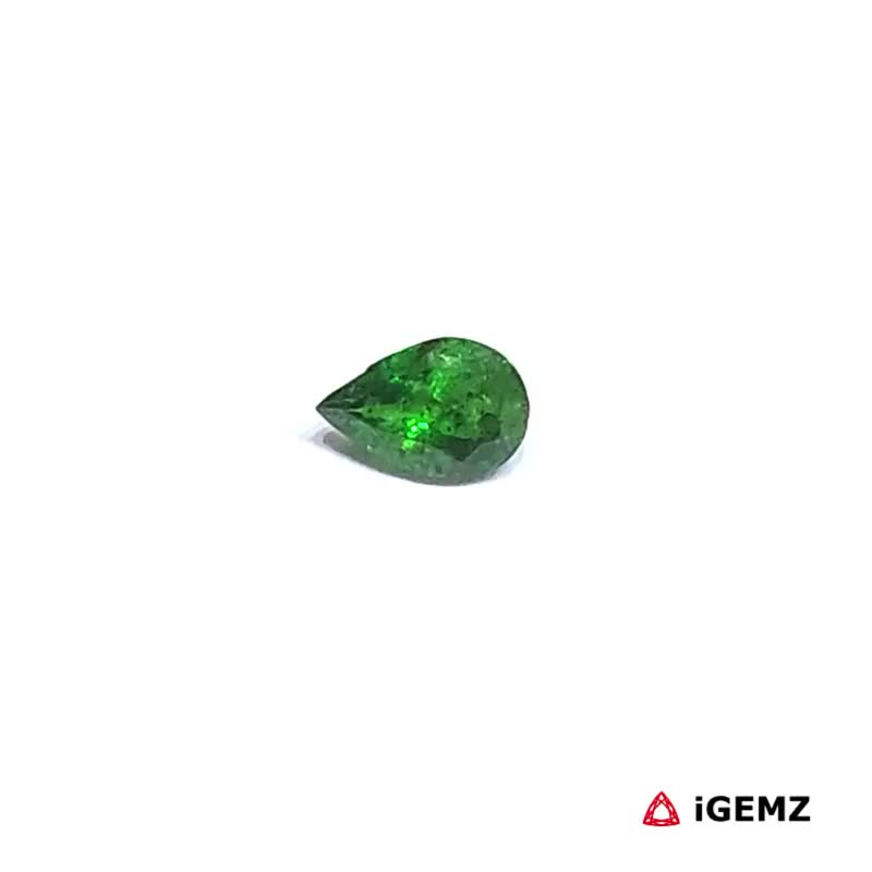 iGemz30625.1 0.31 ct Green Garnet Tsavorite - iGemz30625