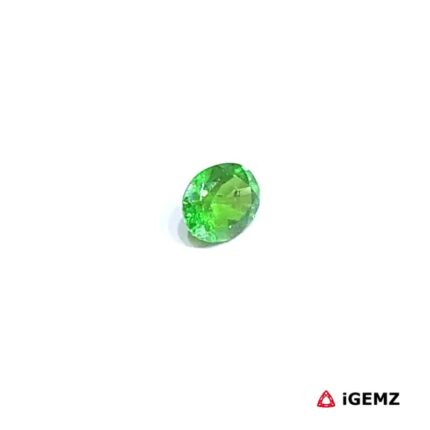 0.34 ct Green Garnet Tsavorite - iGemz30630
