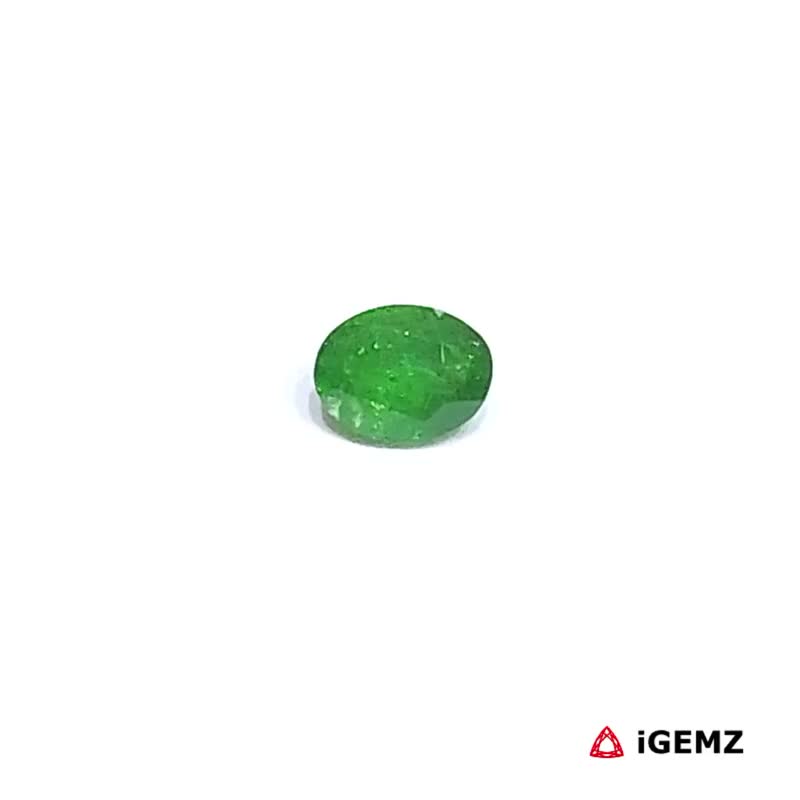 iGemz30633.1 0.37 ct Green Garnet Tsavorite - iGemz30633