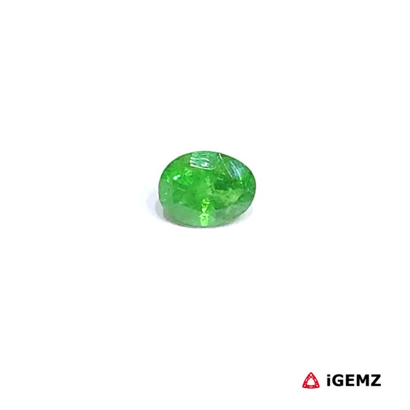 iGemz30636.1 0.53 ct Green Garnet Tsavorite - iGemz30636