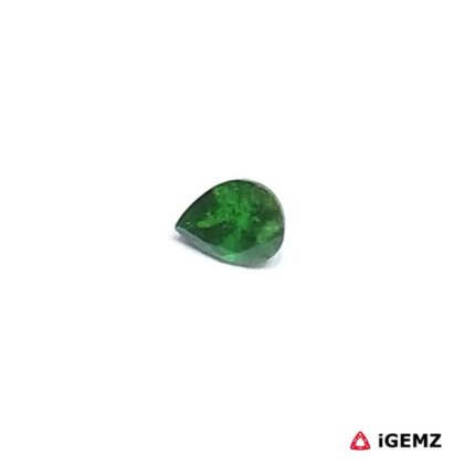 0.48 ct Green Garnet Tsavorite - iGemz30642