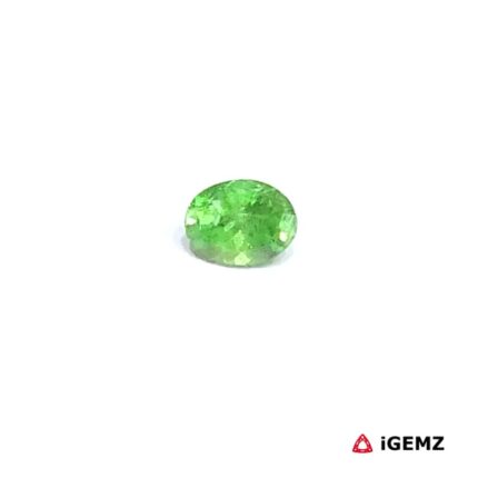 0.51 ct Green Garnet Tsavorite - iGemz30643