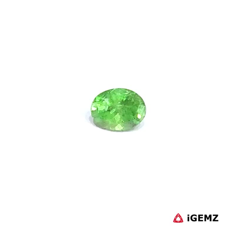 iGemz30643.1 0.51 ct Green Garnet Tsavorite - iGemz30643