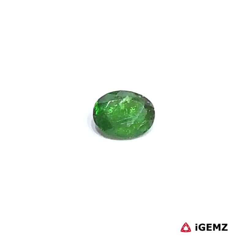 iGemz30644.1 0.45 ct Green Garnet Tsavorite - iGemz30644