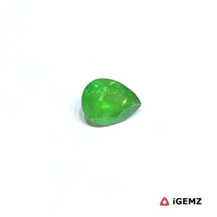 0.61 ct Green Garnet Tsavorite - iGemz30663