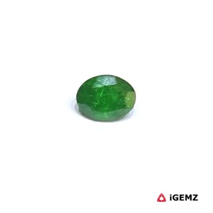 0.82 ct Green Garnet Tsavorite - iGemz30666