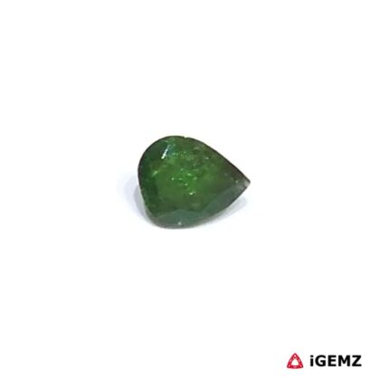 0.73 ct Green Garnet Tsavorite - iGemz30669