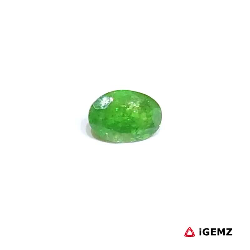iGemz30671.1 0.78 ct Green Garnet Tsavorite - iGemz30671