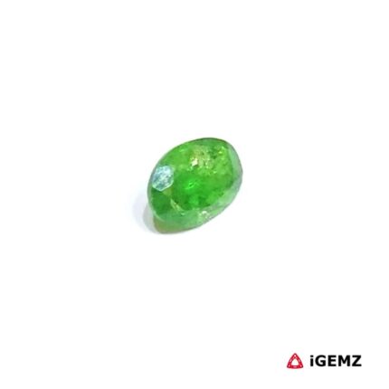 0.78 ct Green Garnet Tsavorite - iGemz30671