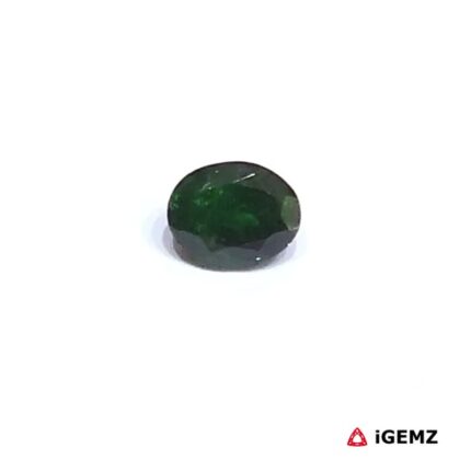 0.86 ct Green Garnet Tsavorite - iGemz30673