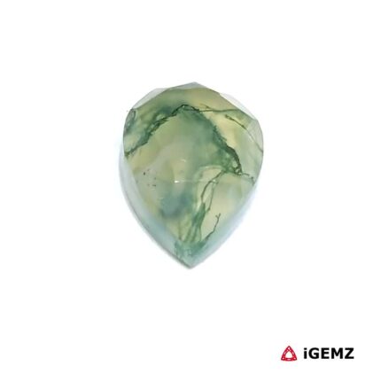 4.38 ct Green Moss Agate - iGemz31394