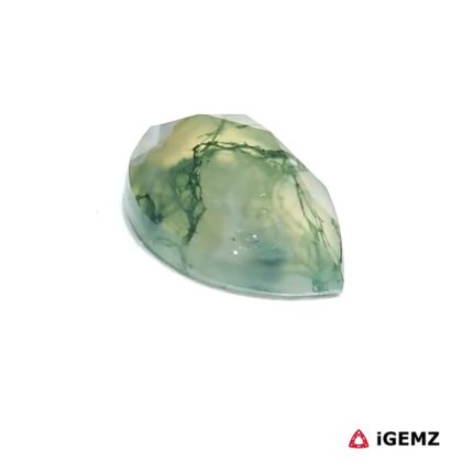 4.38 ct Green Moss Agate - iGemz31394