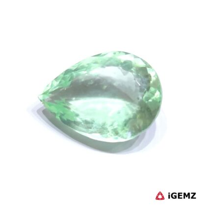 51.25 ct Green Fluorite - iGemz31433