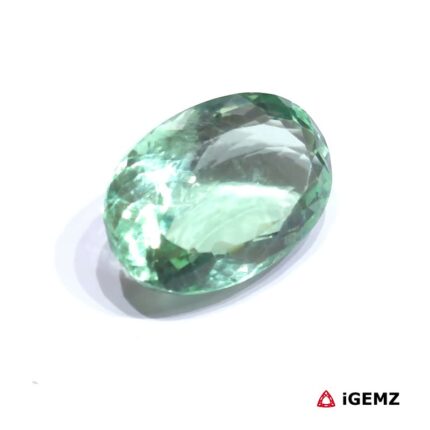 53.9 ct Green Fluorite - iGemz31437