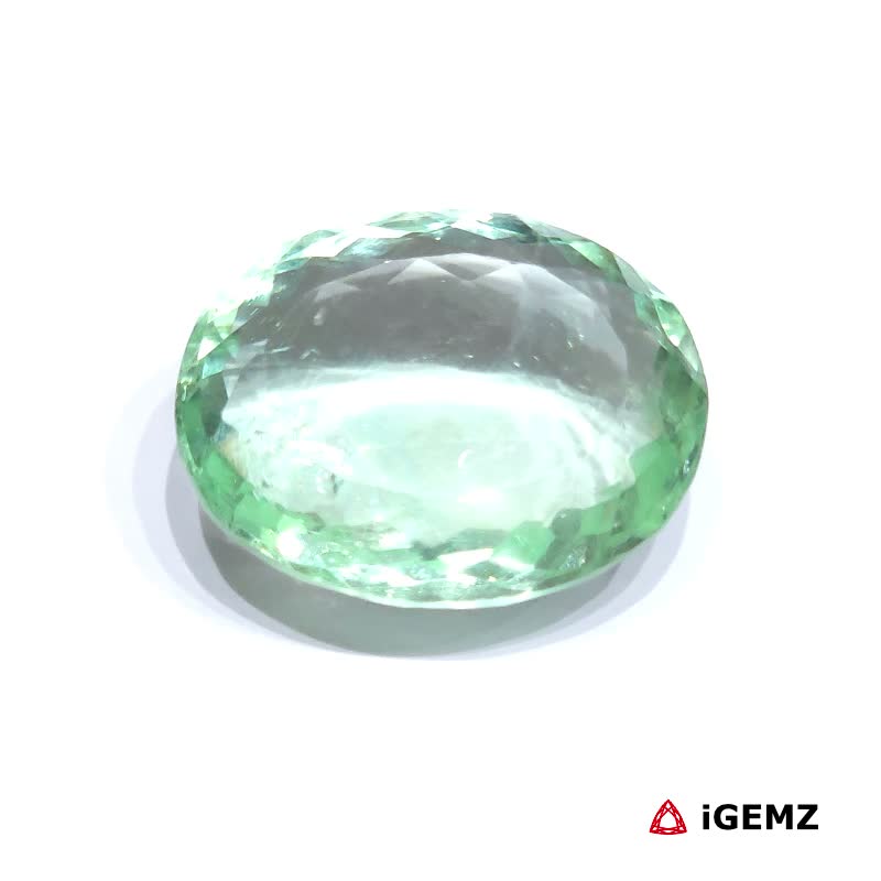 iGemz31438.1 59.47 ct Green Fluorite - iGemz31438