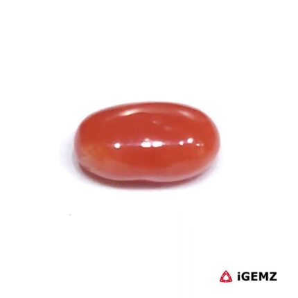 1.65 ct Red Coral - iGemz23690 gemstone for sale at igemz.co.za
