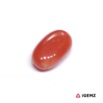 1.65 ct Red Coral - iGemz23690 gemstone for sale at igemz.co.za