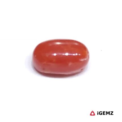 2 ct Red Coral - iGemz23691 gemstone for sale at igemz.co.za