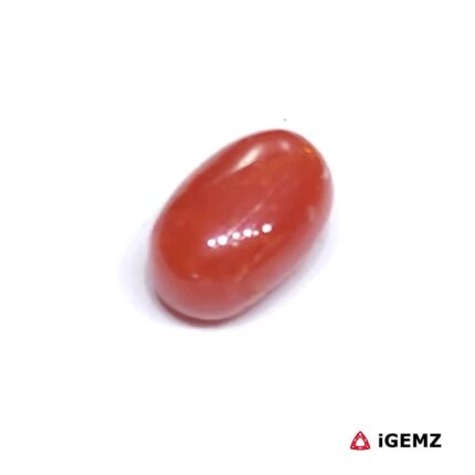 2 ct Red Coral - iGemz23691 gemstone for sale at igemz.co.za