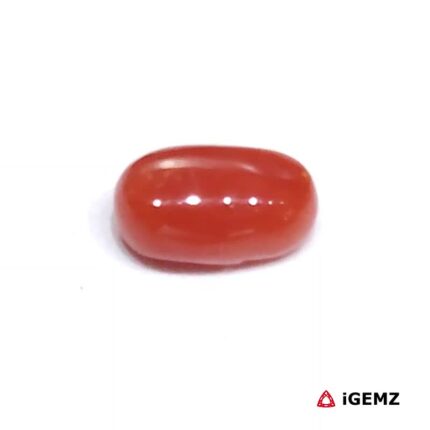 1.69 ct Red Coral - iGemz23692 gemstone for sale at igemz.co.za