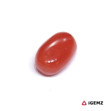 1.69 ct Red Coral - iGemz23692 gemstone for sale at igemz.co.za
