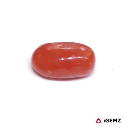 1.79 ct Red Coral - iGemz23693 gemstone for sale at igemz.co.za