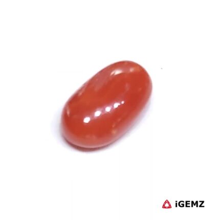 1.79 ct Red Coral - iGemz23693 gemstone for sale at igemz.co.za