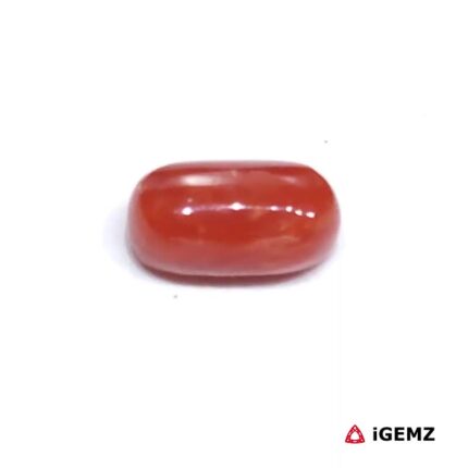 2 ct Red Coral - iGemz23715 gemstone for sale at igemz.co.za