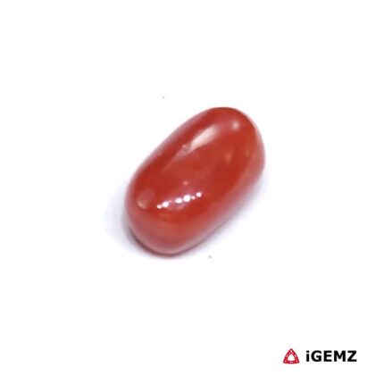 2 ct Red Coral - iGemz23715 gemstone for sale at igemz.co.za