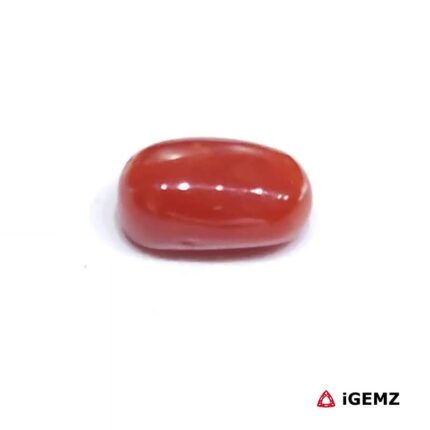 2.12 ct Red Coral - iGemz23716 gemstone for sale at igemz.co.za