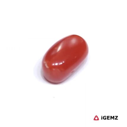 2.12 ct Red Coral - iGemz23716 gemstone for sale at igemz.co.za