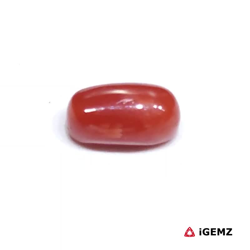 iGemz23717.1 2 ct Red Coral - iGemz23717 gemstone for sale at igemz.co.za