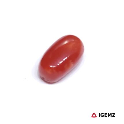 2 ct Red Coral - iGemz23717 gemstone for sale at igemz.co.za