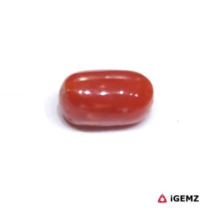 2.17 ct Red Coral - iGemz23718 gemstone for sale at igemz.co.za