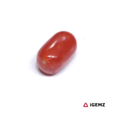 2.17 ct Red Coral - iGemz23718 gemstone for sale at igemz.co.za