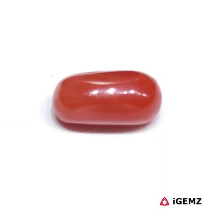 2.57 ct Red Coral - iGemz23719 gemstone for sale at igemz.co.za