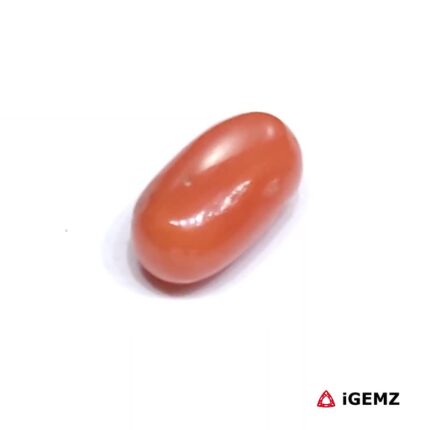 2.32 ct Red Coral - iGemz23721 gemstone for sale at igemz.co.za